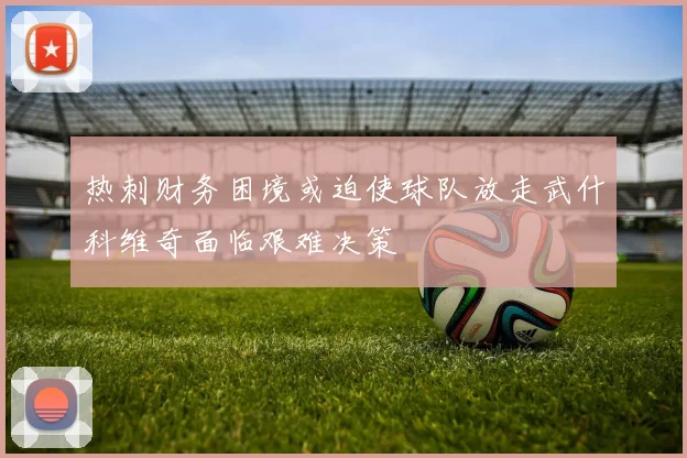热刺财务困境或迫使球队放走武什科维奇面临艰难决策